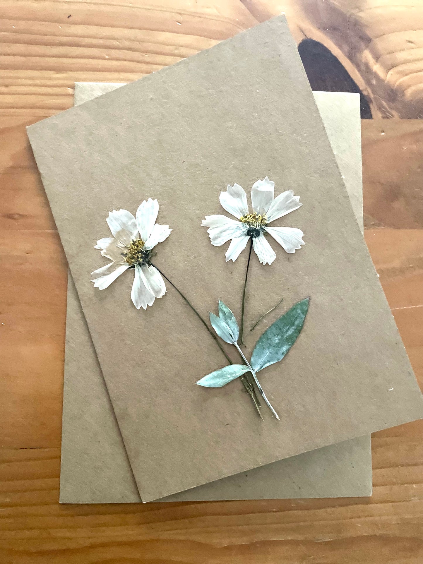 Pressed Flower Greeting card~ Cosmos pair