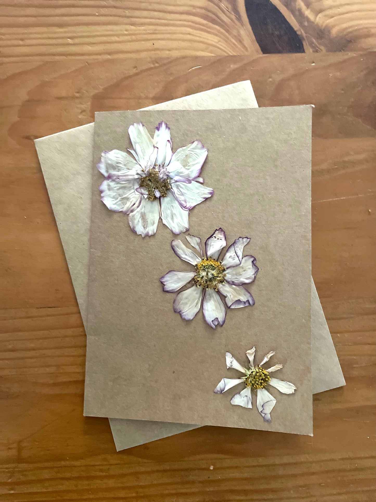 Pressed Flower greeting card~ Cosmos Trio