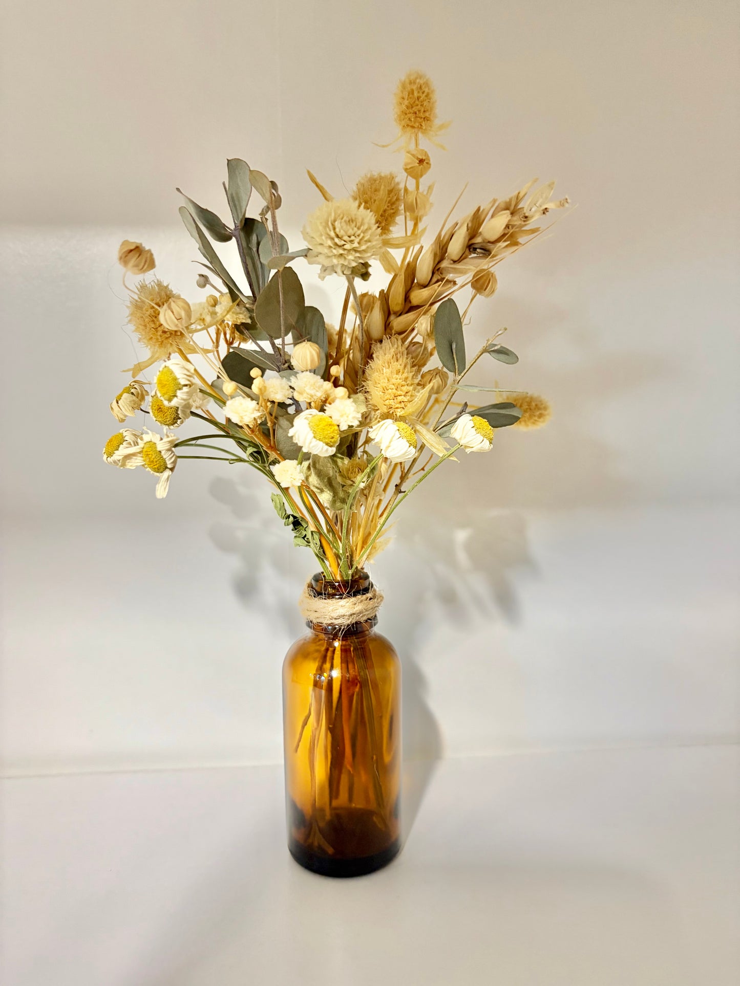 Bottle baby~ Feverfew