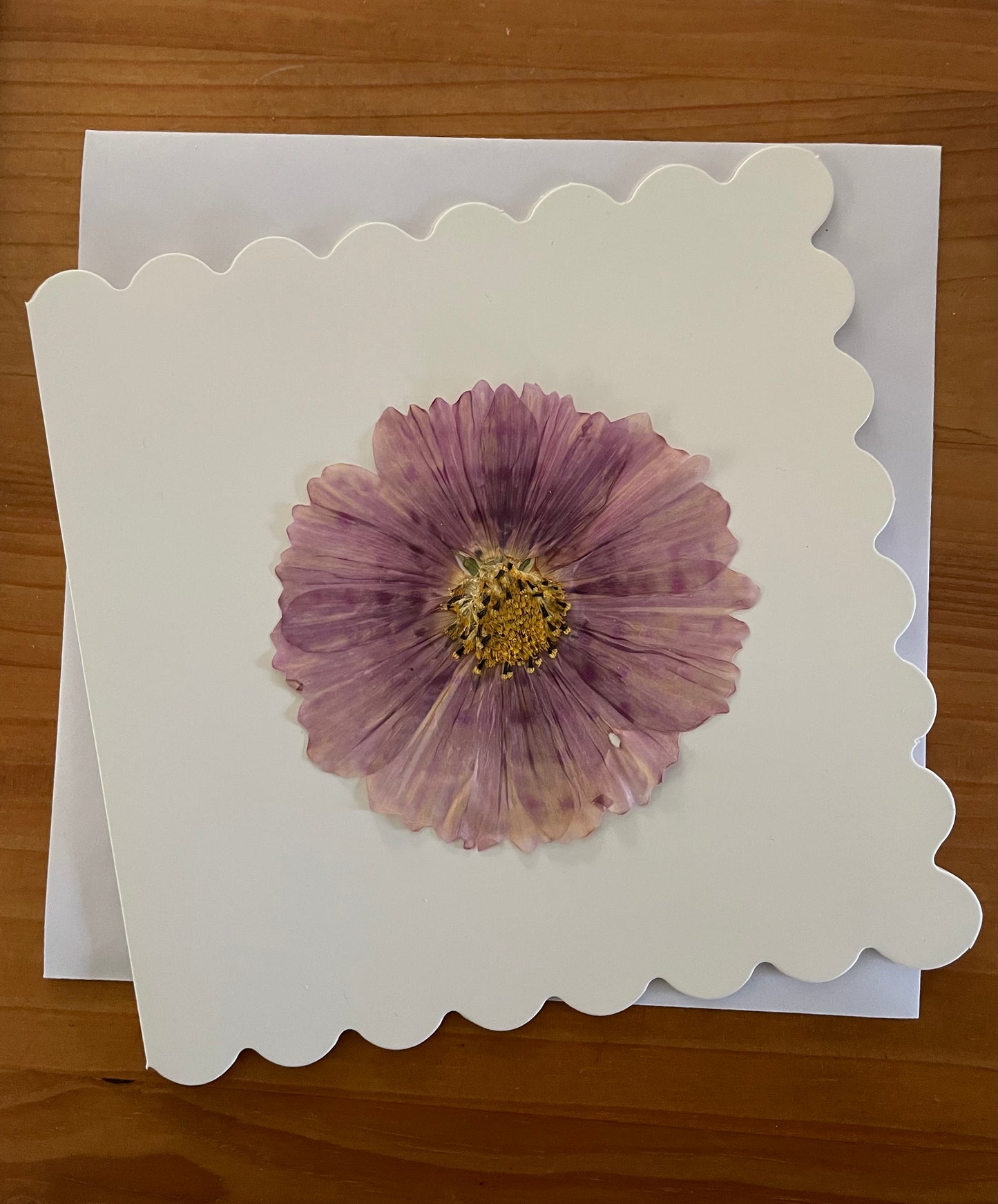 Pressed Flower Greeting card~ Cosmos