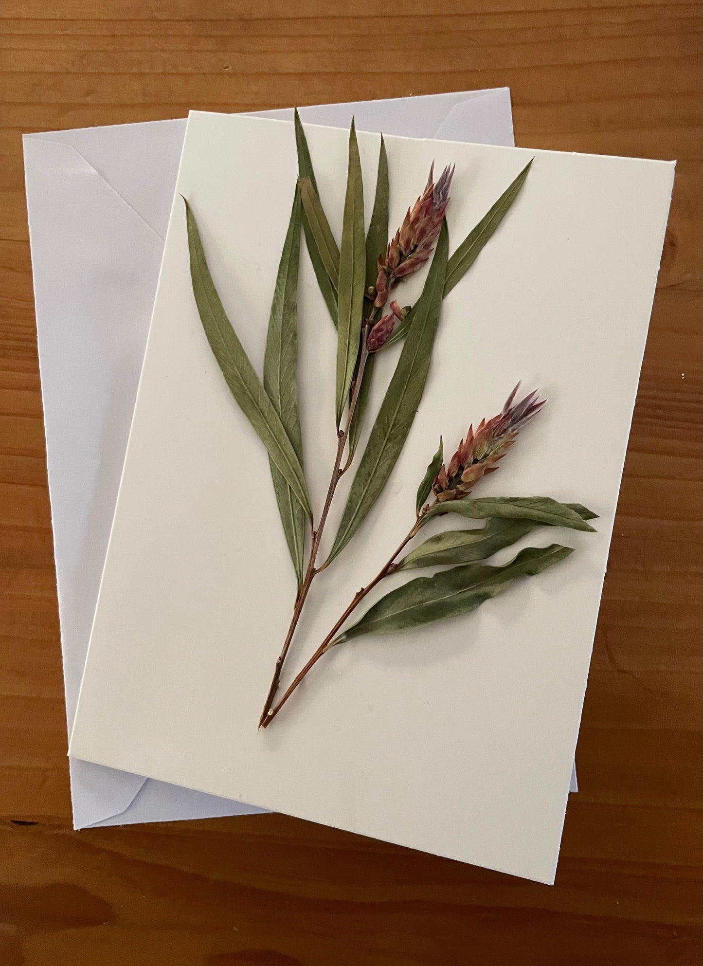 Pressed Flower Greeting Card~ Native foliage