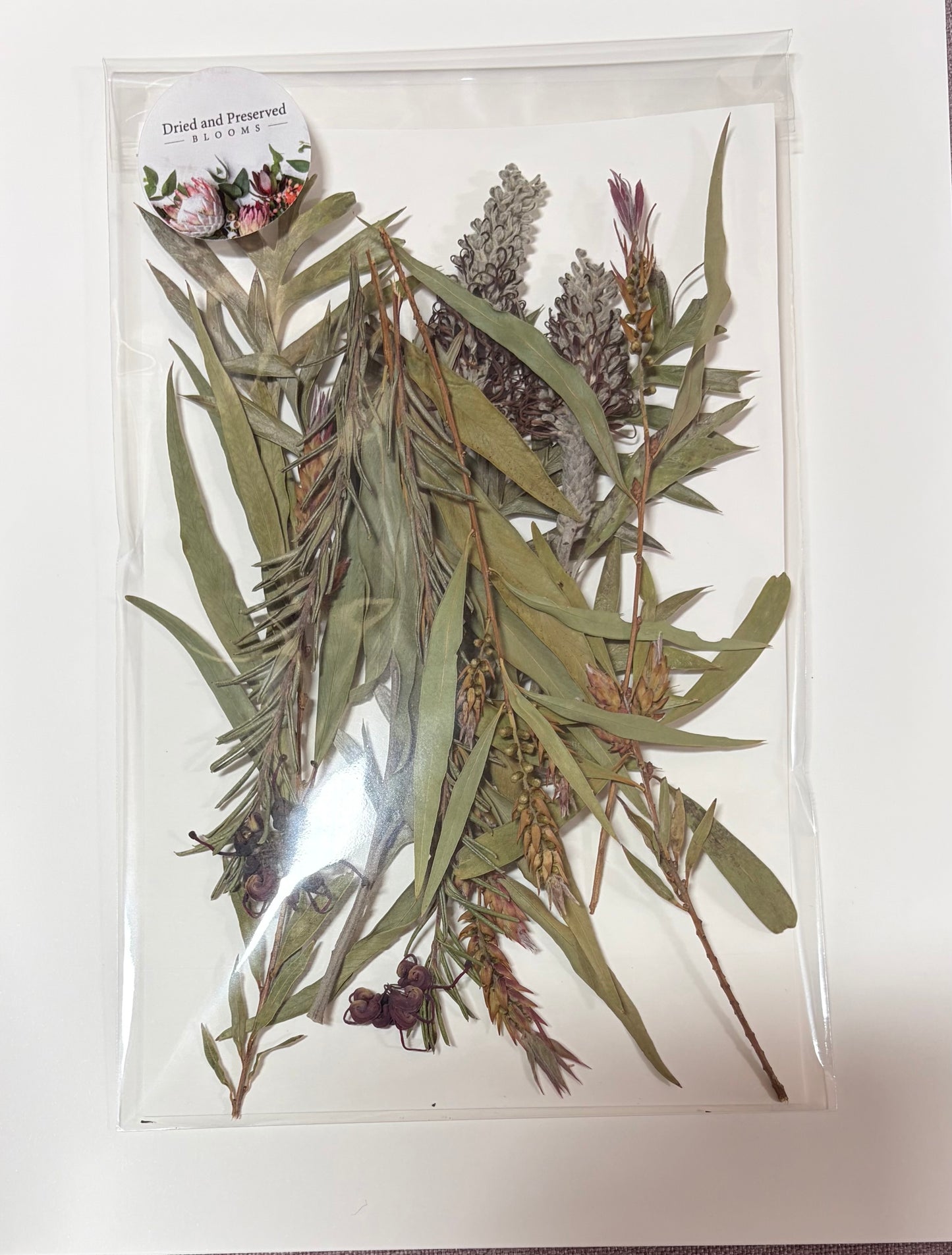 Pressed Flower Pack~ Native mix