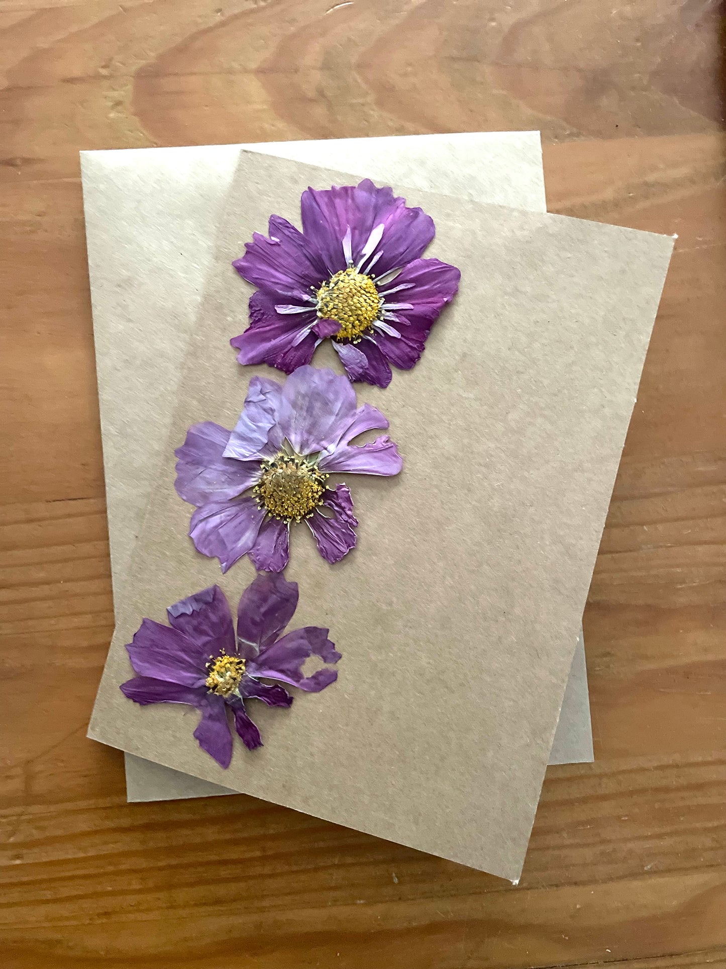 Pressed Flower Greeting Card ~ Cosmos trio