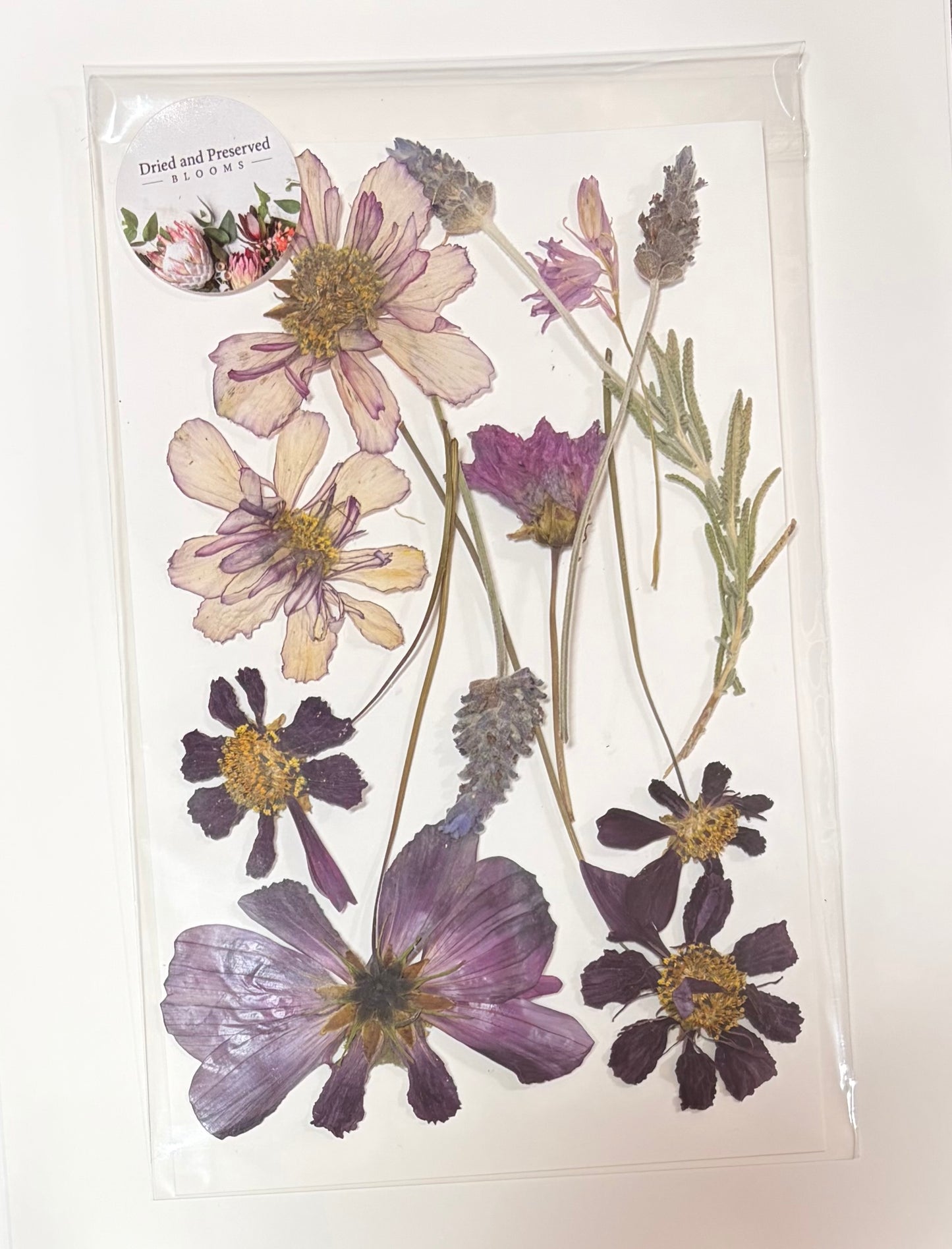 Pressed Flower Pack~ Cosmos lavender mix
