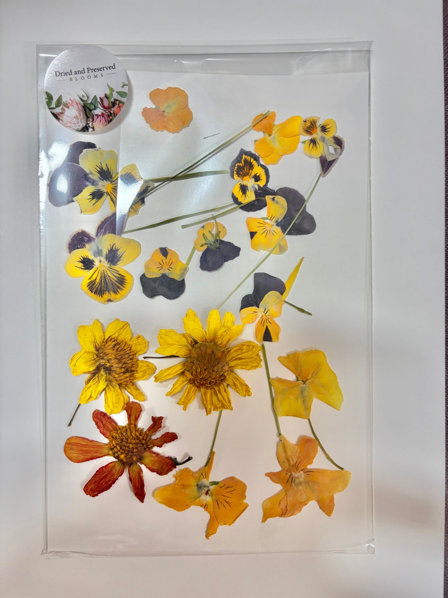 Pressed Flower Pack~Mixed brights