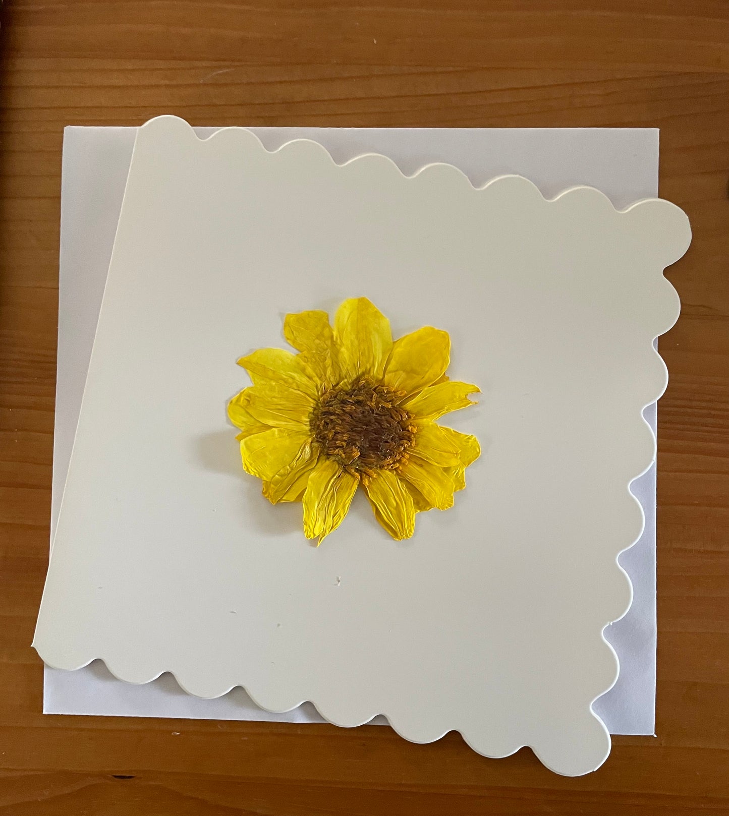 Pressed Flower Greeting Card~ Dahlia