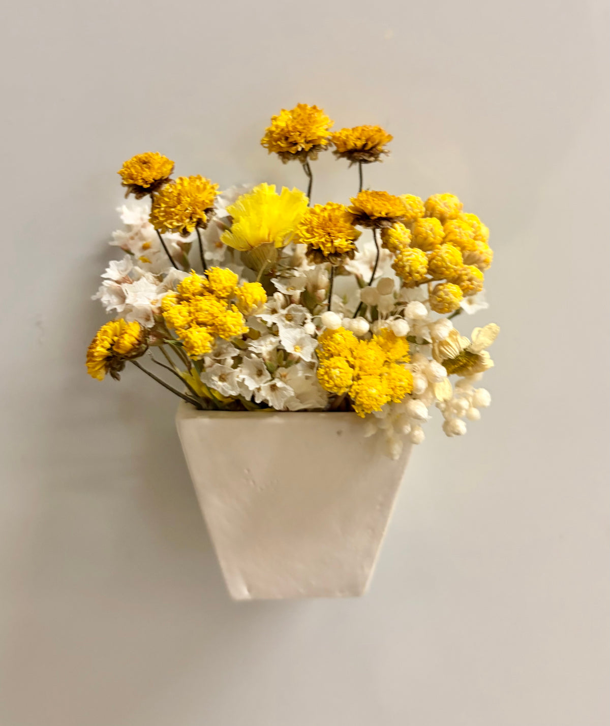 Fridge Magnet~Yellows