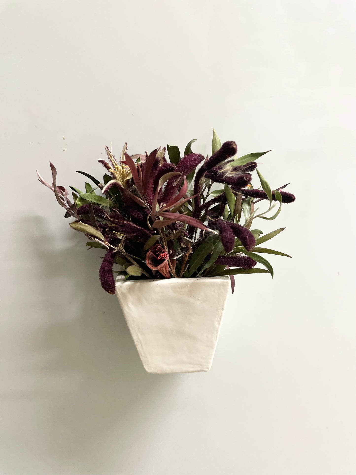 Fridge Magnet~Kangaroo Paw