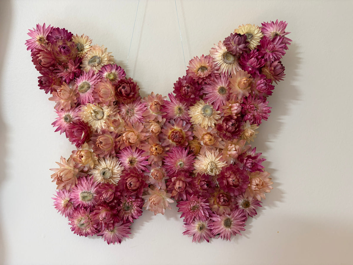 Butterfly Wall Art ~ Pink