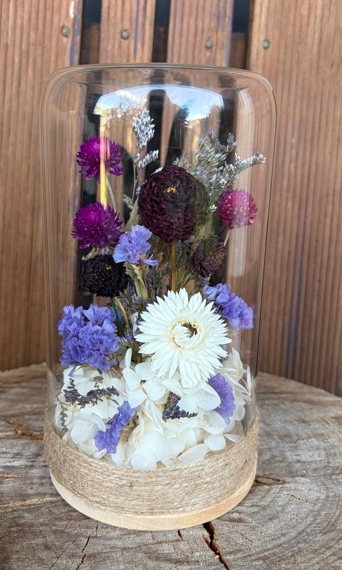 Floral Dome~Dahlia