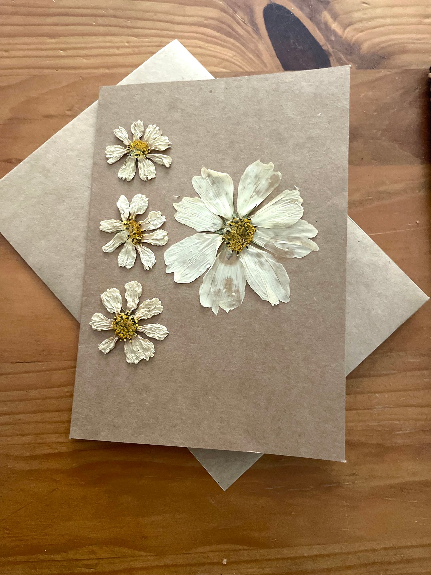 Pressed Flower Greeting Card ~ cosmos