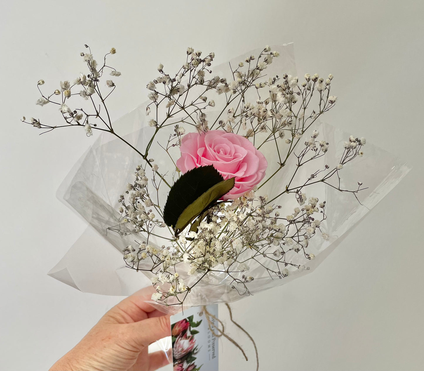 Single Pink Rose
