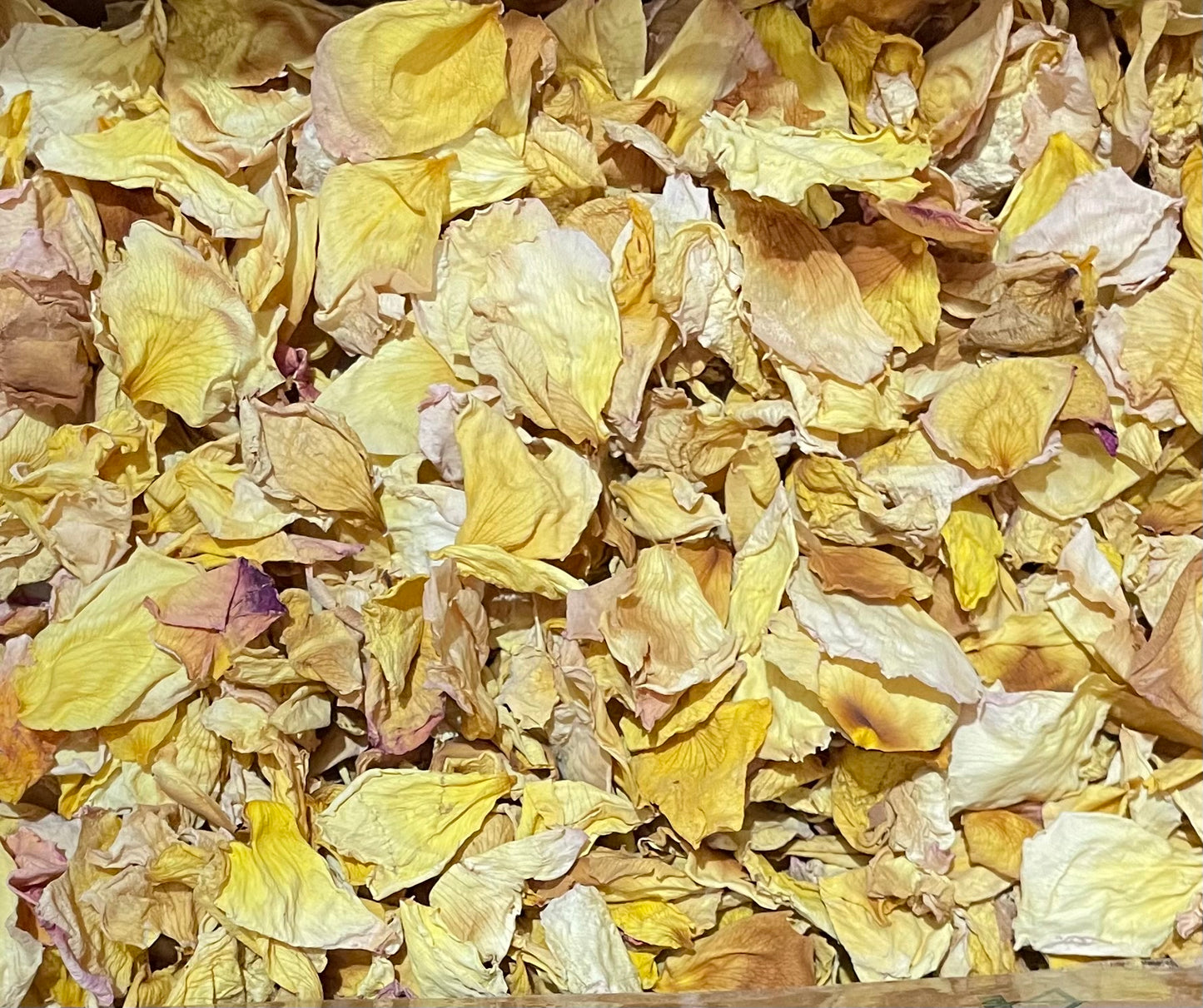 Confetti~ Rustic gold petals