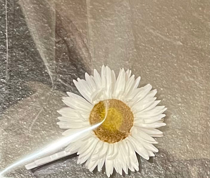 Hair pin ~ Daisy