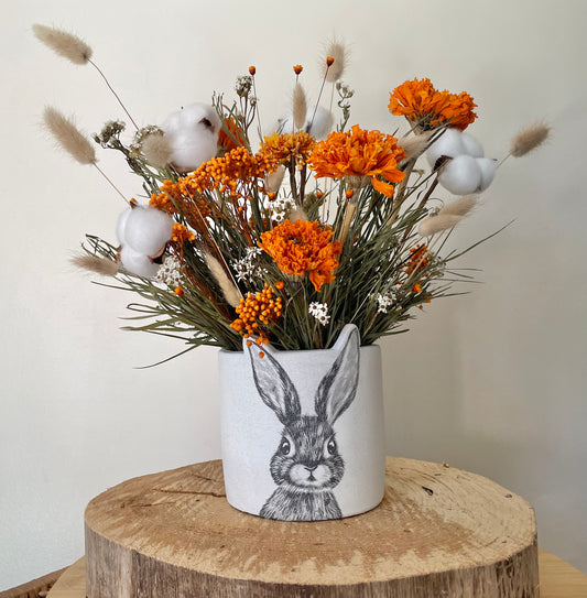 Peter Rabbit