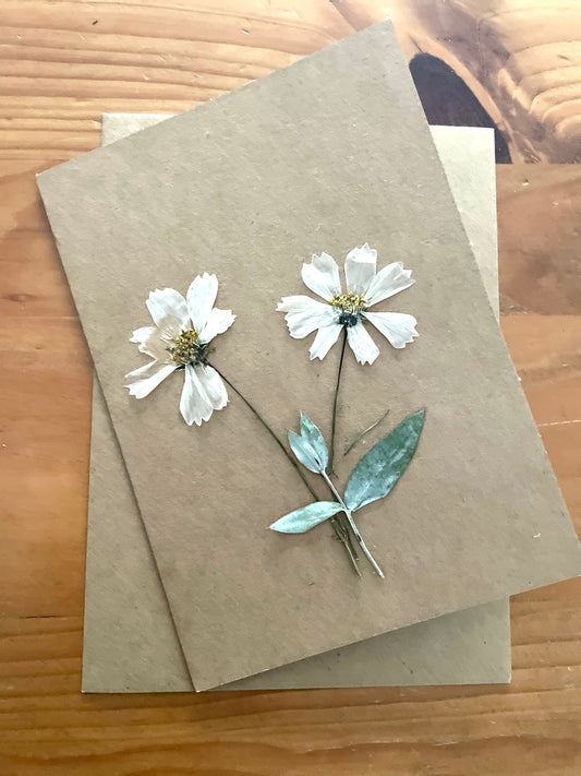 Pressed Flower Greeting card~ Cosmos pair