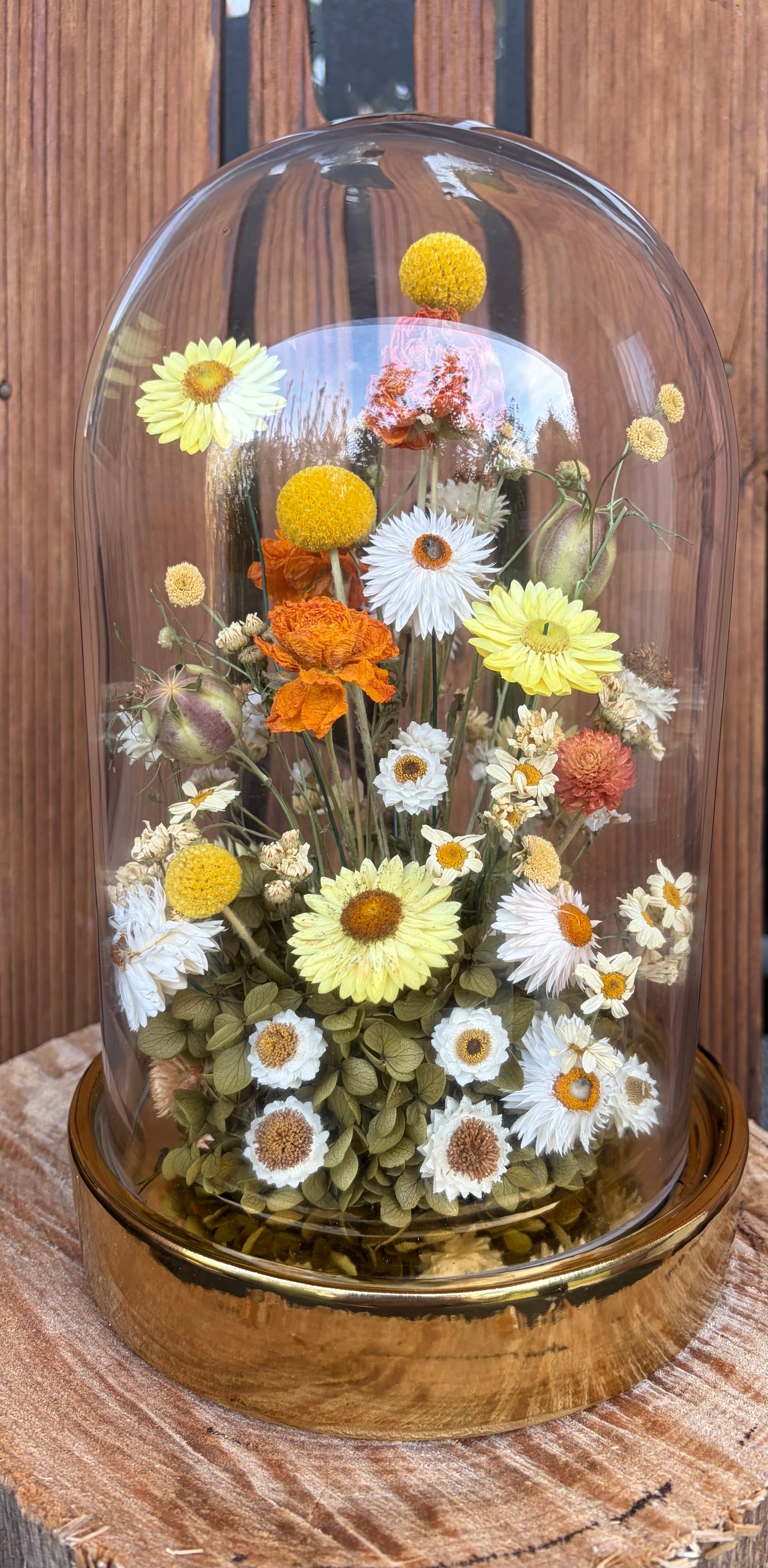 XL Floral Dome ~ Daisy