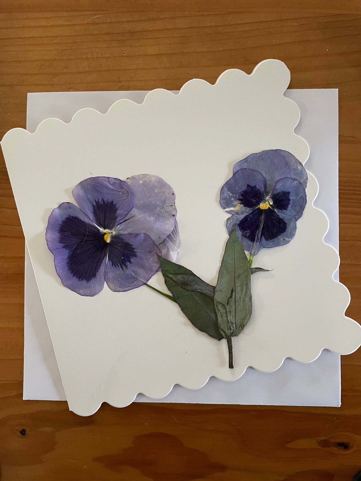 Pressed Flower Greeting Card~ Pansy pair