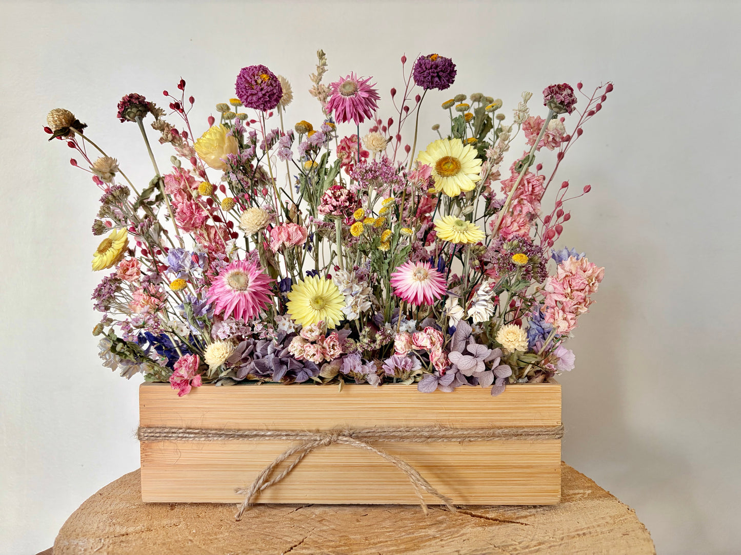 The Pastel Garden