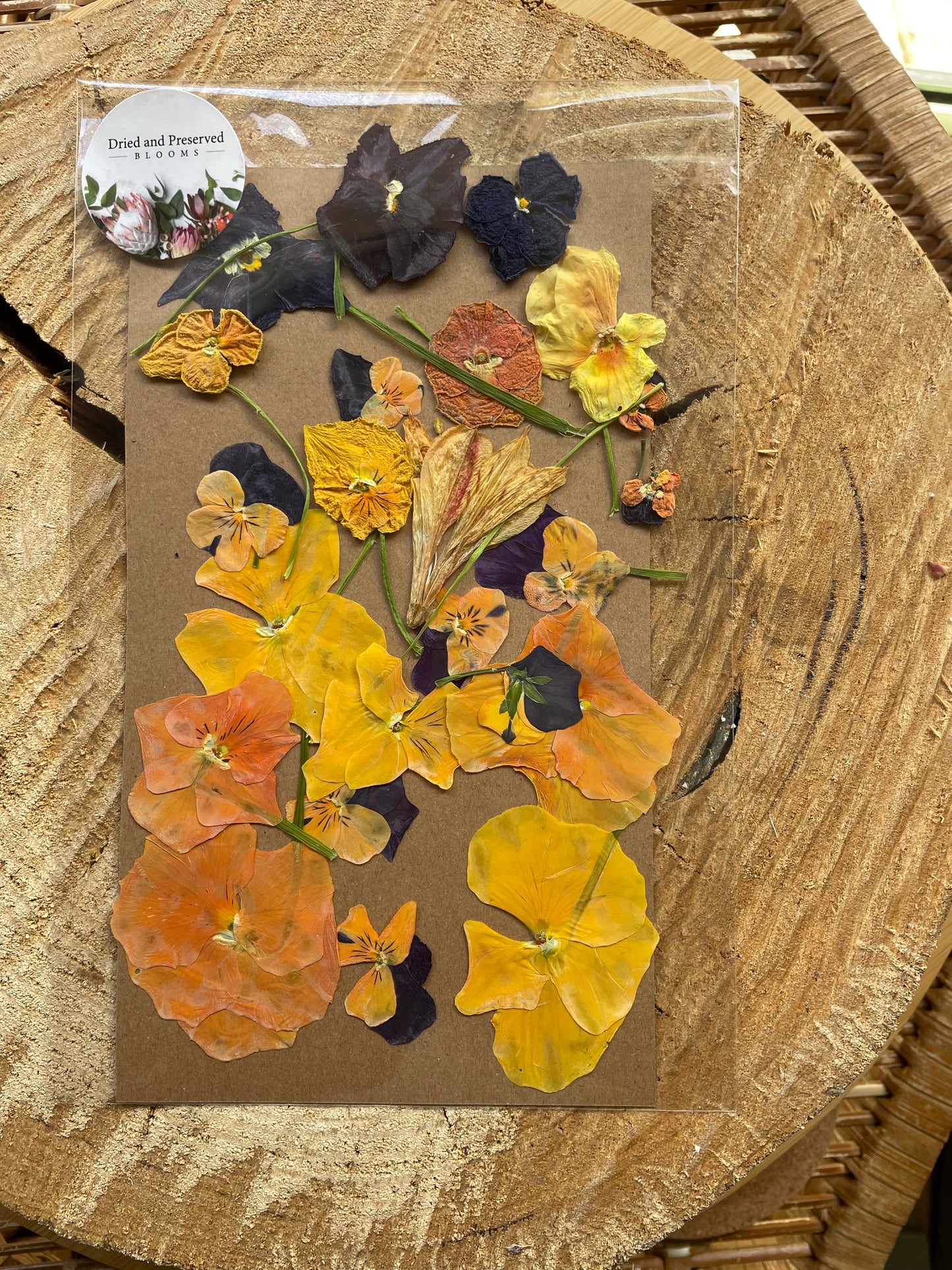 Pressed Flower Pack orange & yellow