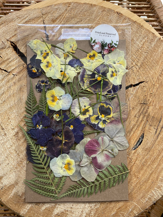 Pressed Flower Pack Lemon Mix