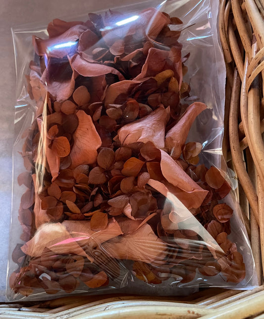 Confetti~Hydrangea+ Rose Petal Rust