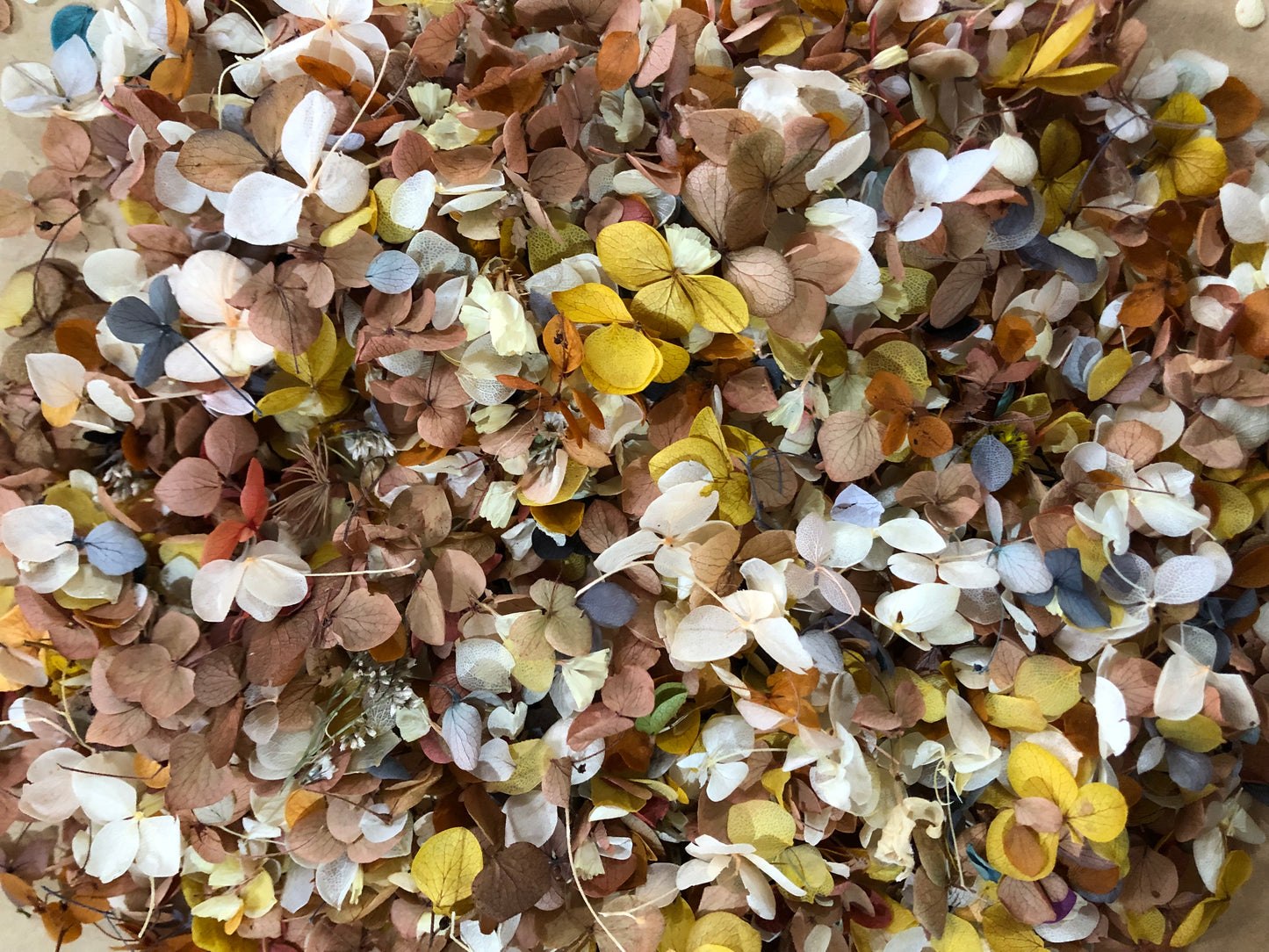 Confetti ~ small petals rustic