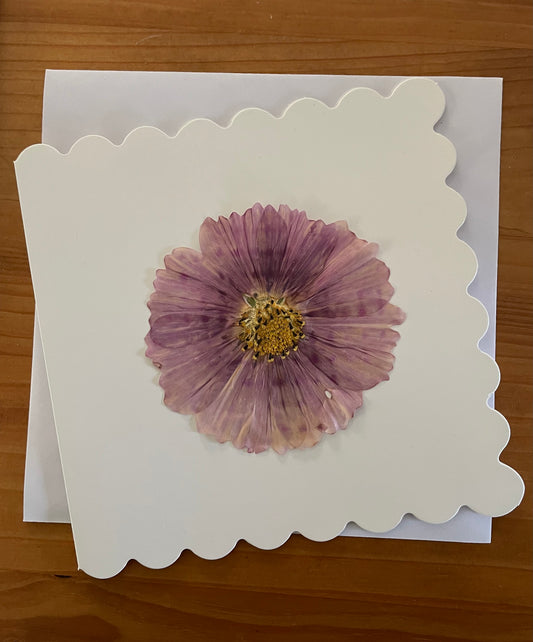 Pressed Flower Greeting card~ Cosmos