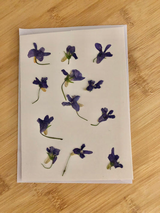 Gift card- pressed purple flowers