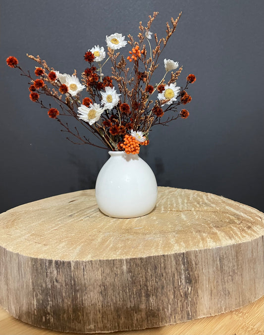 Autumn Daisy