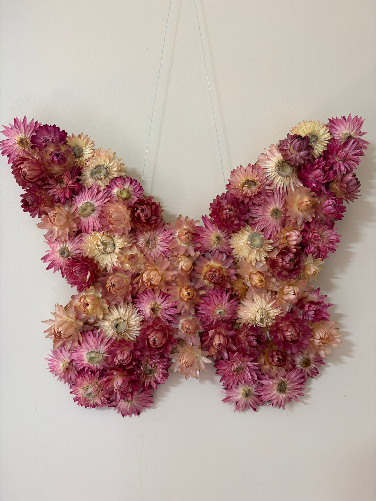 Butterfly Wall Art ~ Pink