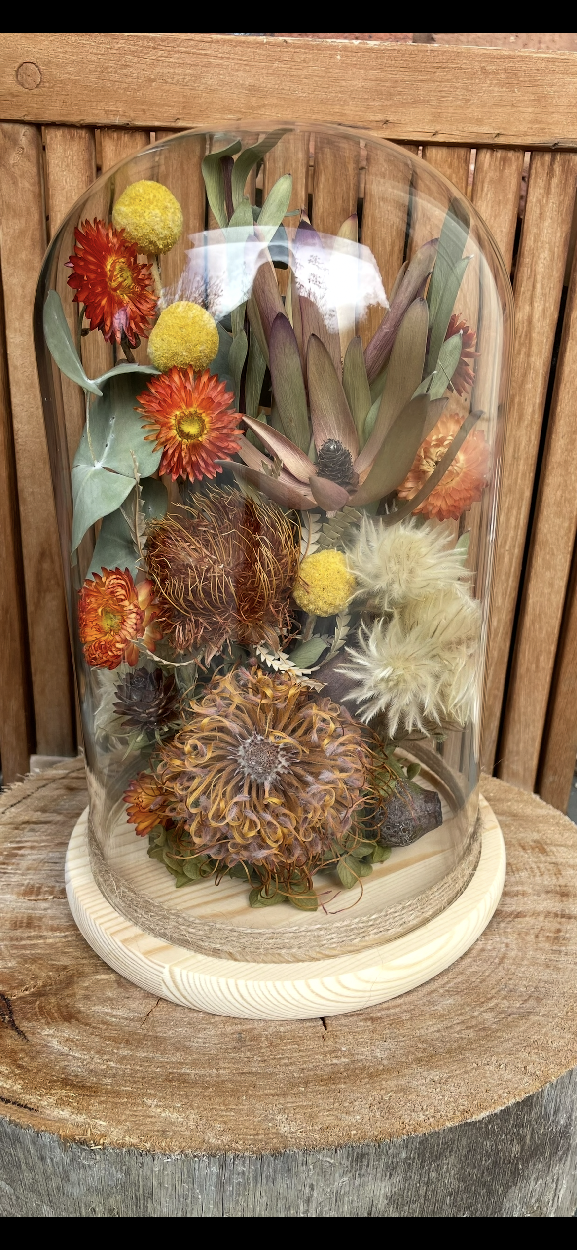 Floral Dome XL Native