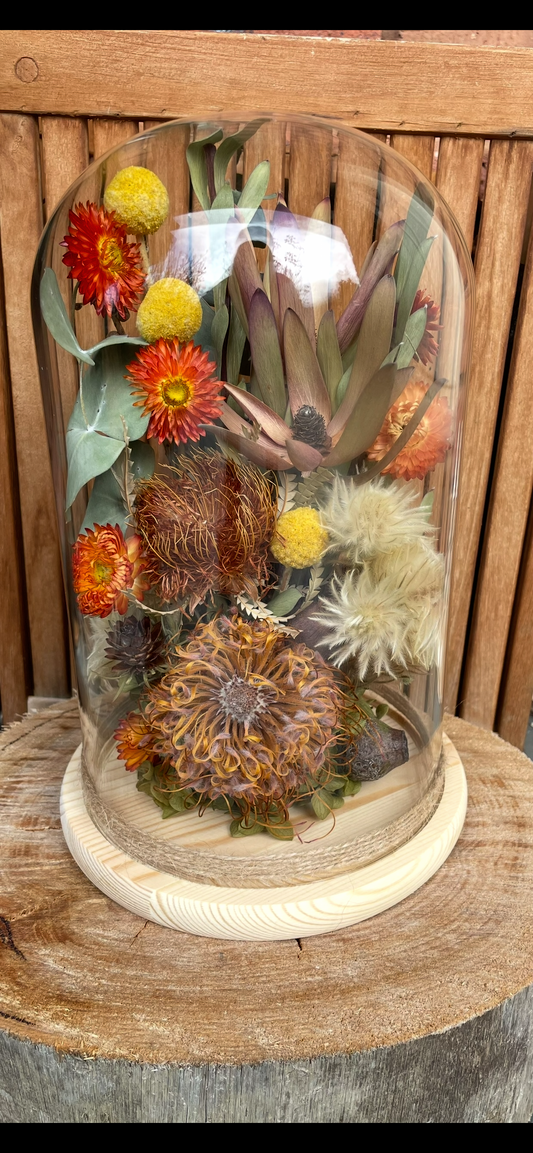 Floral Dome XL Native