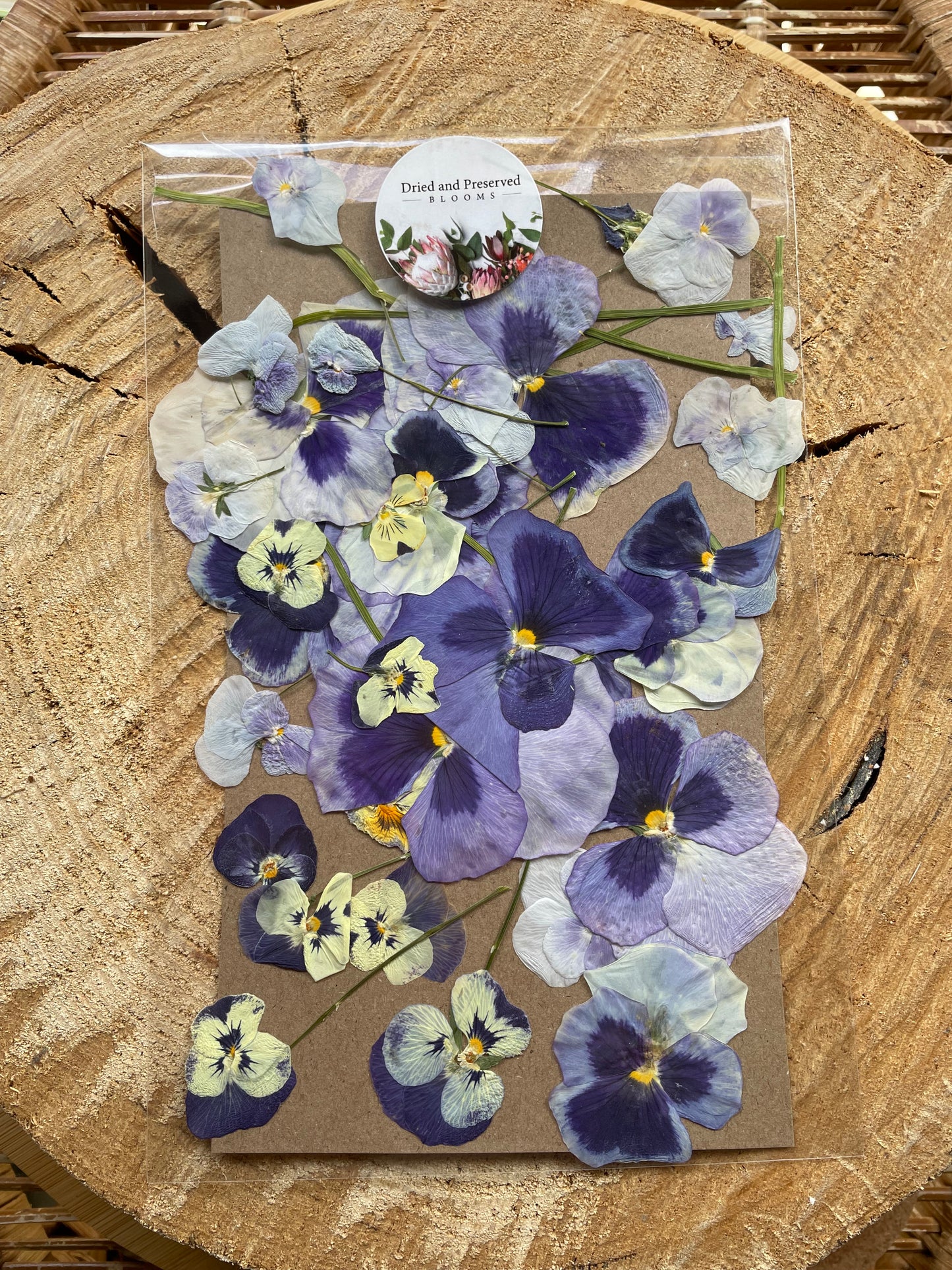 Pressed Flower Pack Viola/Pansy Mauve
