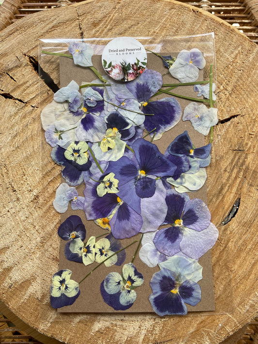 Pressed Flower Pack Viola/Pansy Mauve