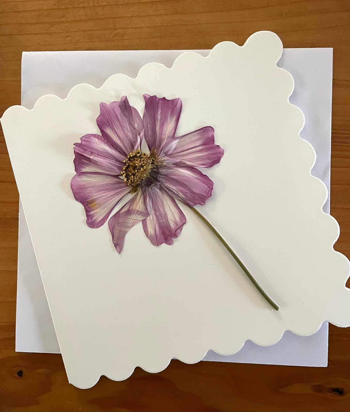 Pressed Flower Greeting Card~ Cosmos stem