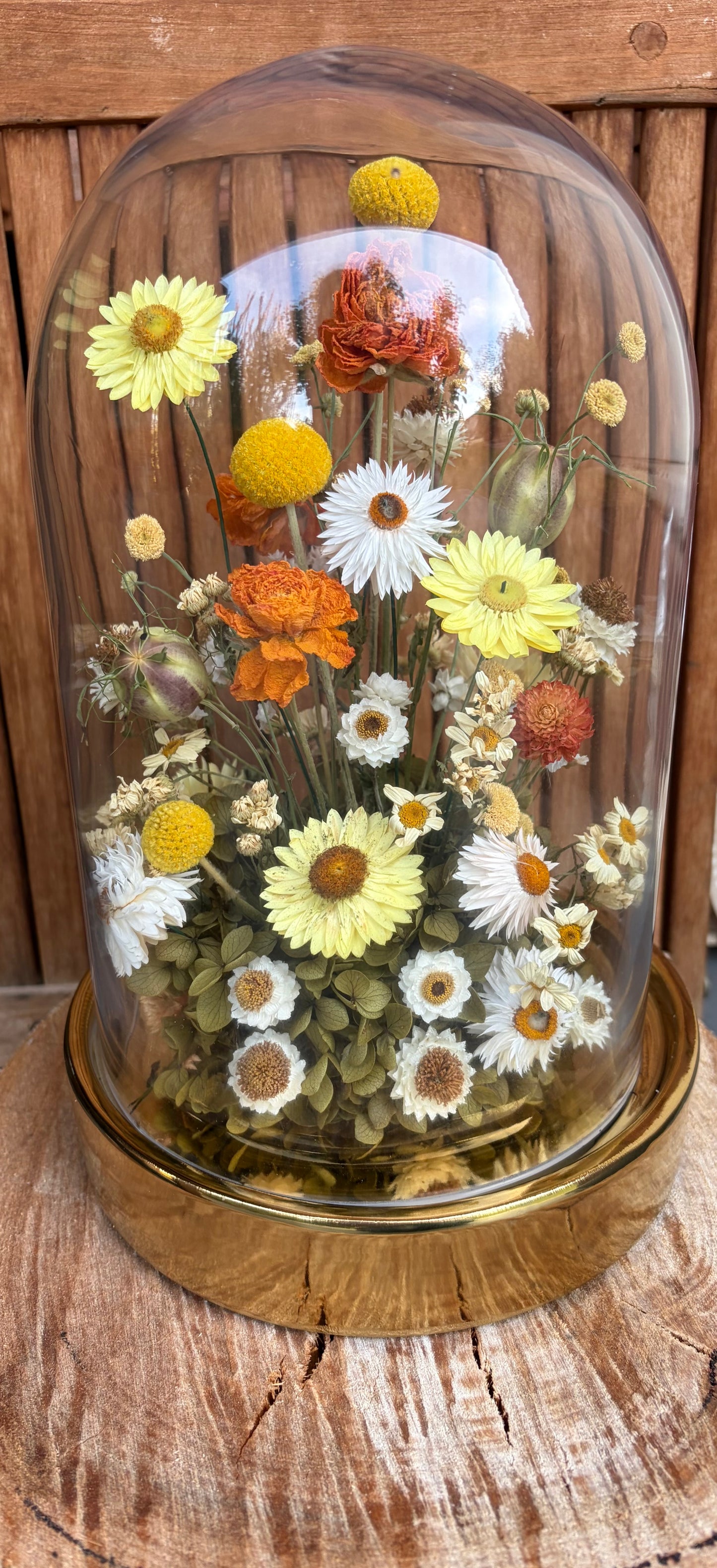 XL Floral Dome ~ Daisy