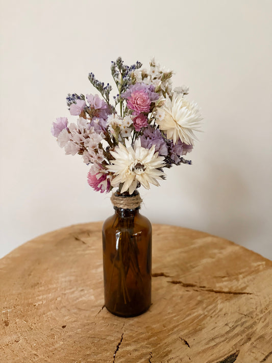 Bottle Baby ~ Gomphrena