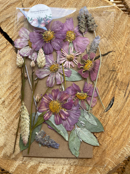 Pressed Flower Pack mixed mauve/purples