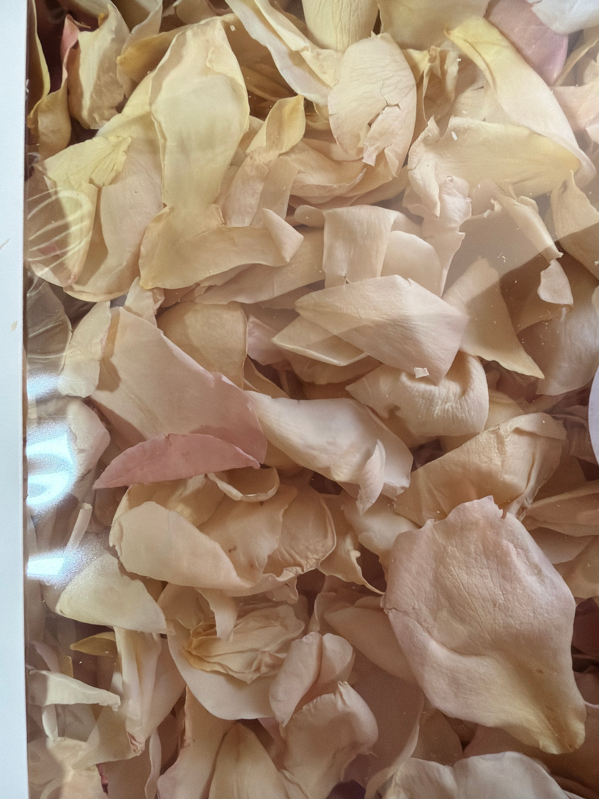 Confetti~Freeze Dried Rose Petal - very soft touch of pink to petal edges
