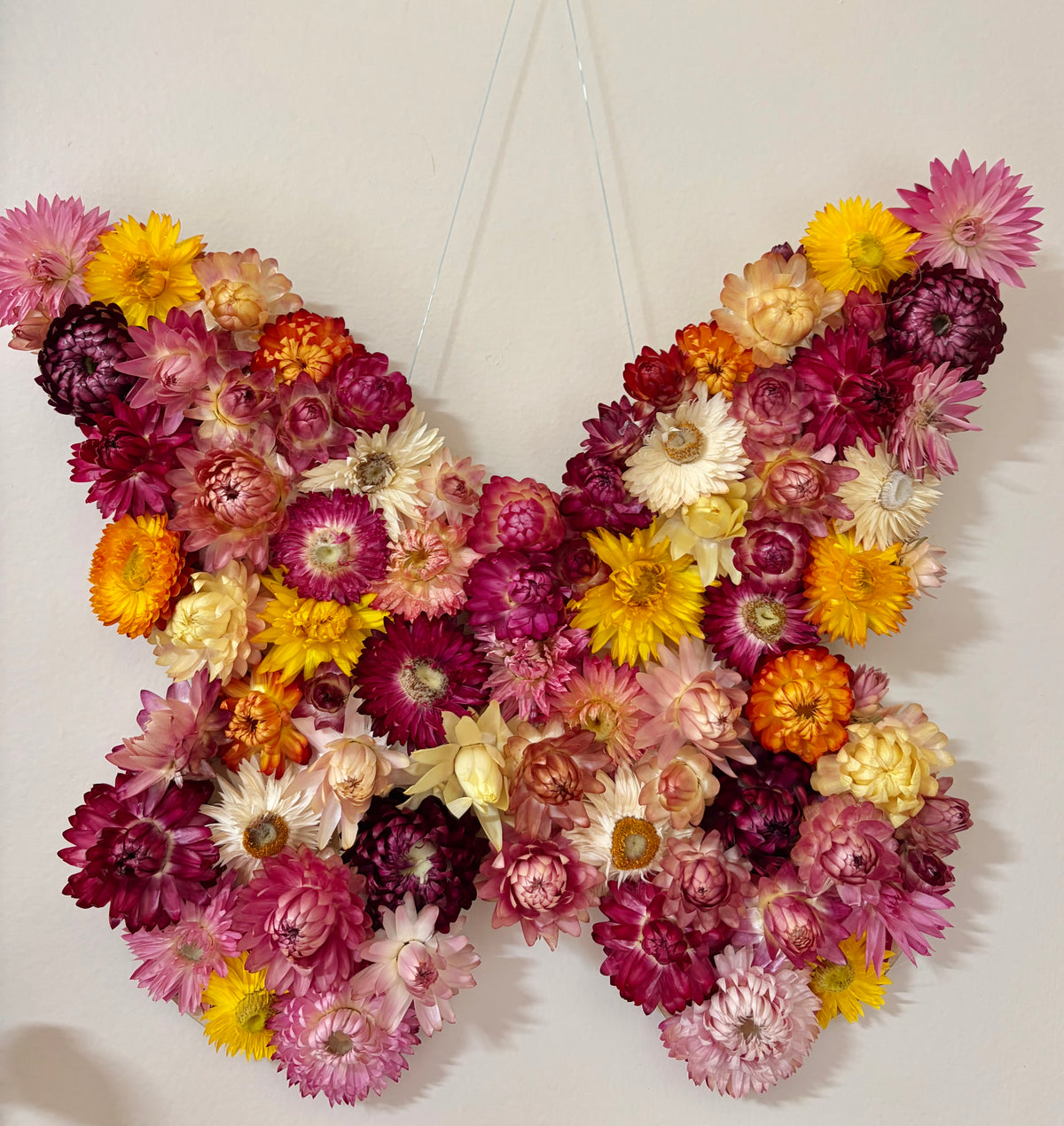 Butterfly Wall Art ~ Mixed