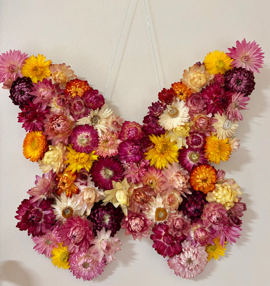 Butterfly Wall Art ~ Mixed
