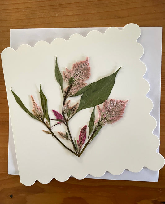 Pressed Flower Greeting Card ~celosia