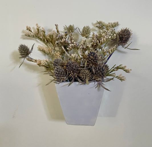 Fridge Magnet~ Sea holly