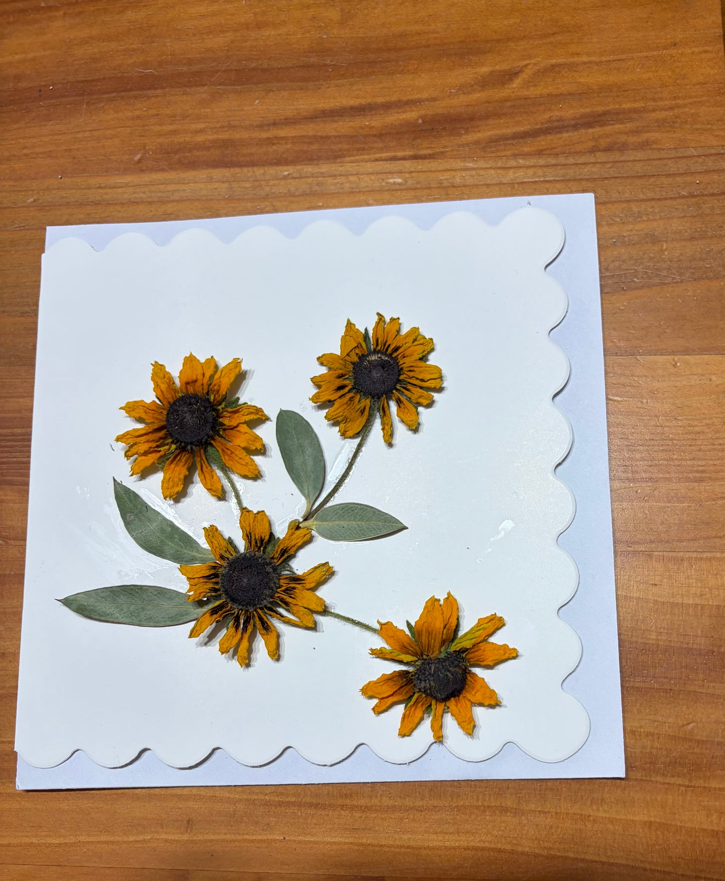 Greeting Card ~ Pressed Flowers