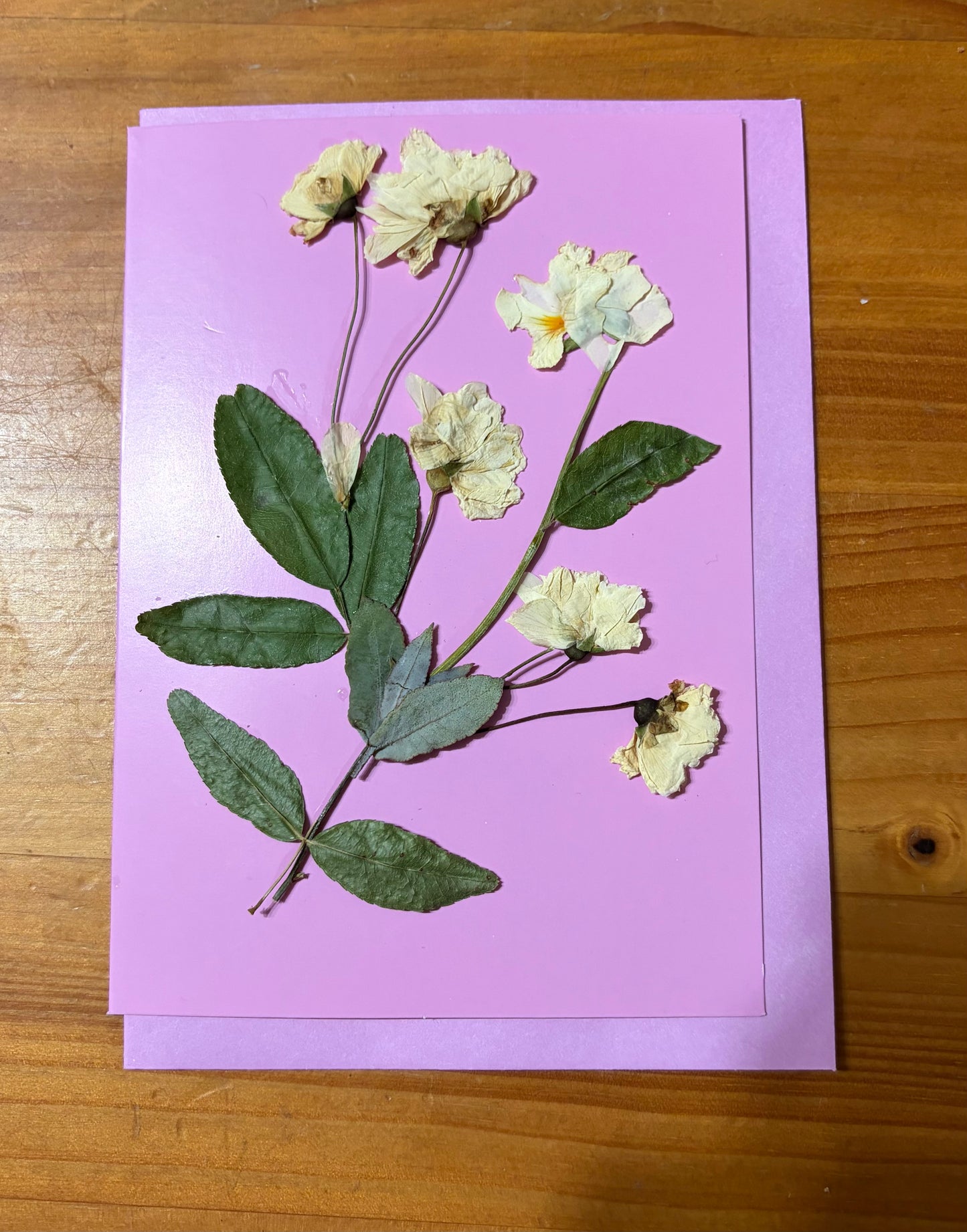 Greeting Card~ Pressed flowers
