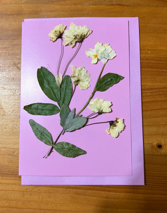 Greeting Card~ Pressed flowers