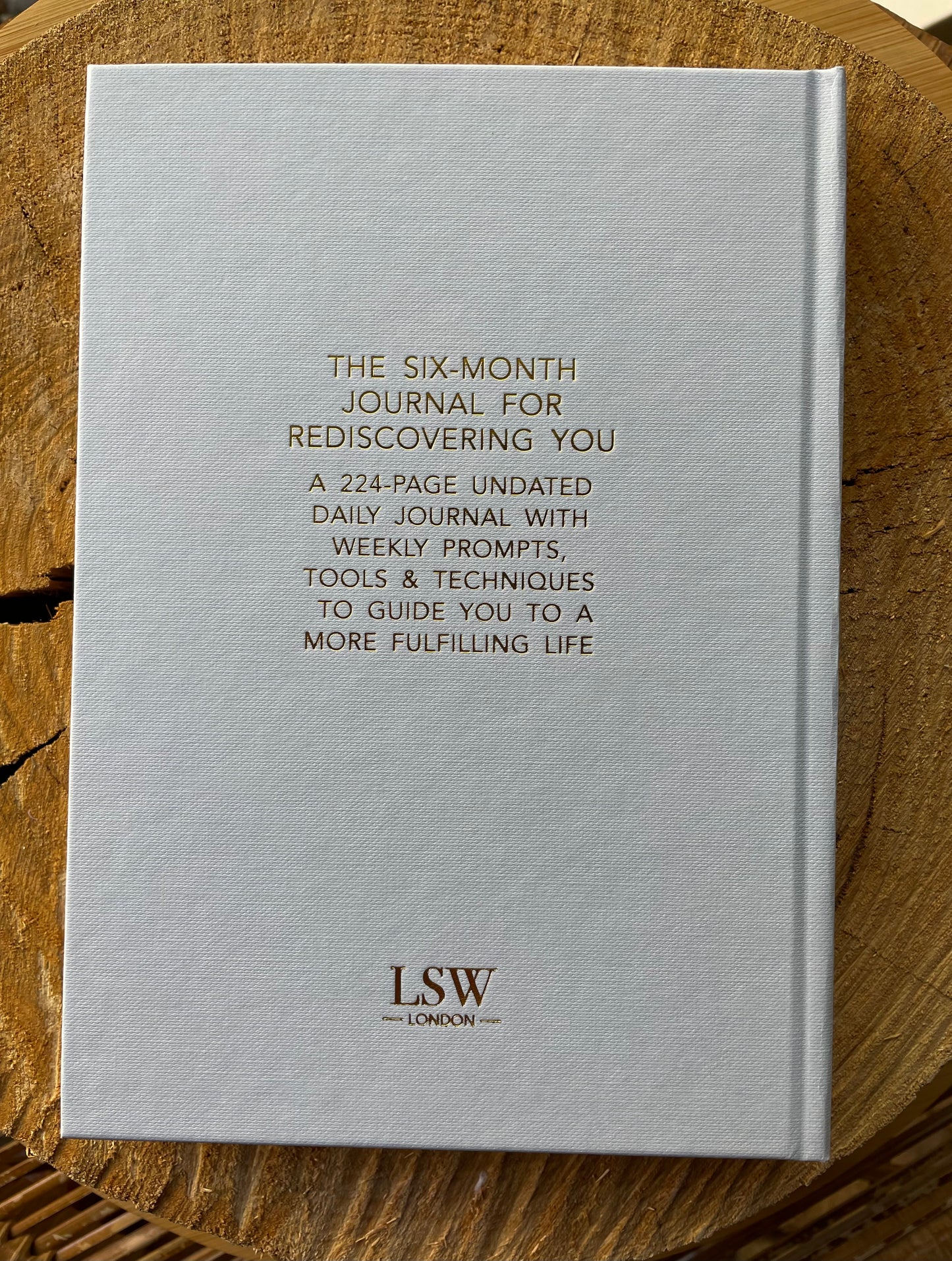 LSW Mind Notes