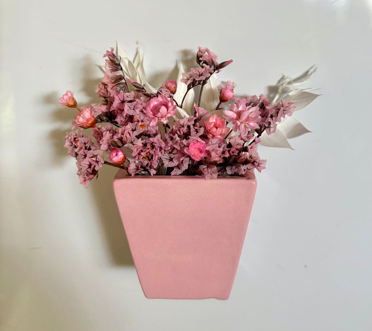 Fridge Magnet~Raspberry