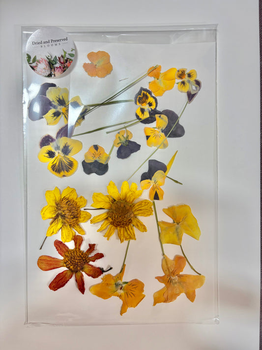 Pressed Flower Pack~Mixed brights